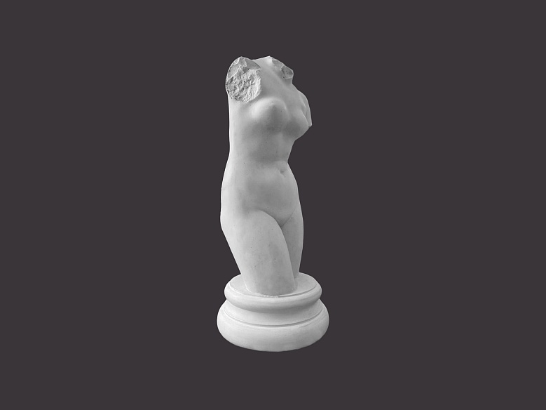 Статуэтка Венеры - декор из гипса - 8801